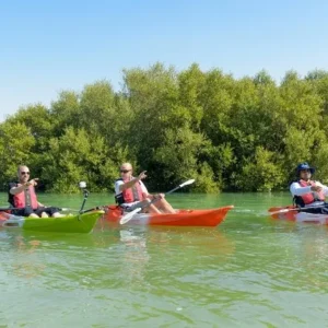 Mangroove Kayak Tour