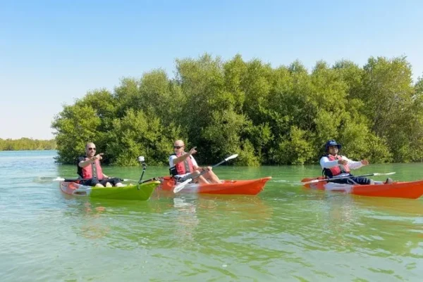 Mangroove Kayak Tour