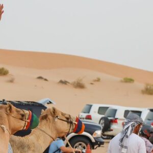 Desert Safari Abu Dhabi - Image 2