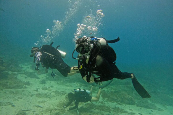 Discover Scuba Diving