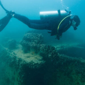 Diving in Lulu Island Experience