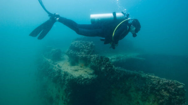 Diving in Lulu Island Experience