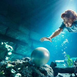 SeaWorld - Image 2